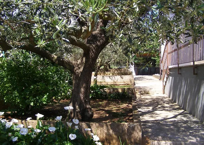 דירה Vallelunga פולה